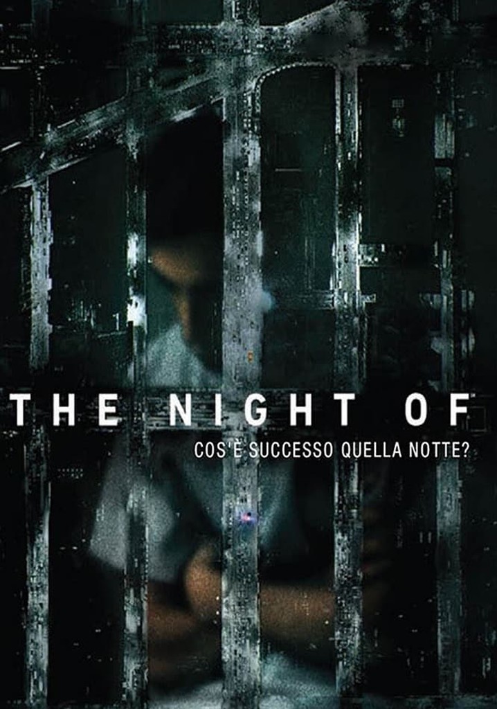 The Night Of Cosa è successo quella notte? streaming online